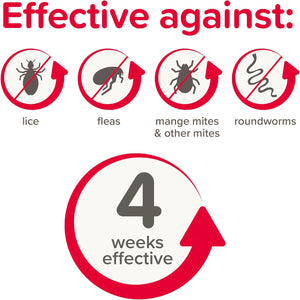 Beaphar Anti-Parasite Spot On for Rabbit and Guinea Pigs