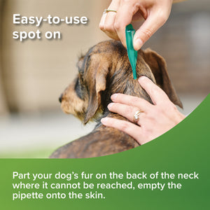 Beaphar Vetopure Dog Flea Repellent Spot On Plant Based Protection