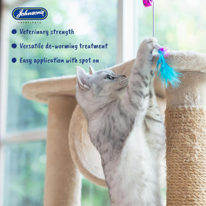 Johnson’s Easy Spot On Wormer for Cats & Kittens