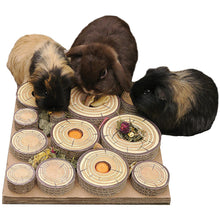 Load image into Gallery viewer, Rosewood Maze-a-Log Treat Challenge for Rabbits &amp; Guinea Pigs
