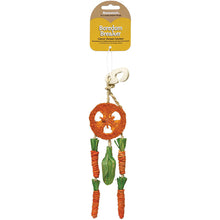 Load image into Gallery viewer, Rosewood Carrot Dream Catcher – A Fun &amp; Chewable Toy for Small Pets
