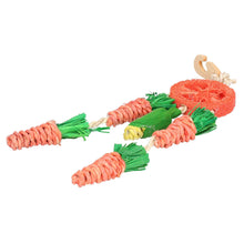 Load image into Gallery viewer, Rosewood Carrot Dream Catcher – A Fun &amp; Chewable Toy for Small Pets
