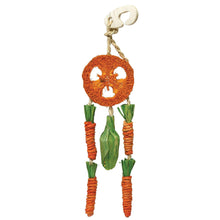 Load image into Gallery viewer, Rosewood Carrot Dream Catcher – A Fun &amp; Chewable Toy for Small Pets
